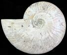 Silver Iridescent Ammonite - Madagascar #61508-1